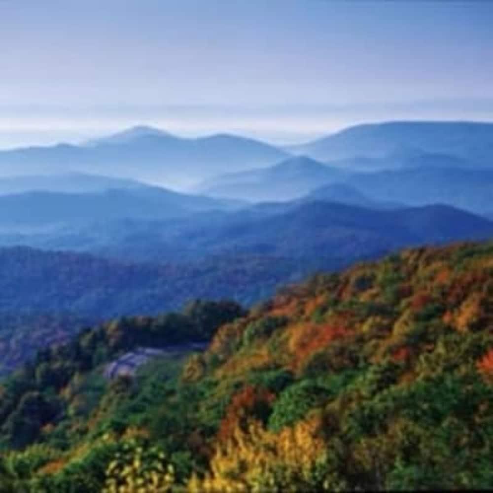 Biltmore Village Inn B&B Asheville Exteriör bild