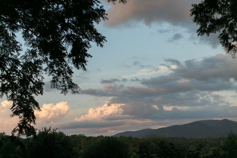 Biltmore Village Inn B&B Asheville Exteriör bild
